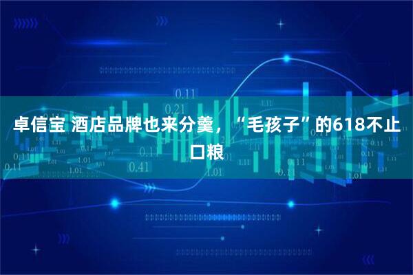卓信宝 酒店品牌也来分羹，“毛孩子”的618不止口粮