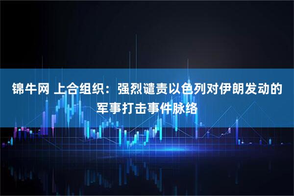 锦牛网 上合组织：强烈谴责以色列对伊朗发动的军事打击事件脉络