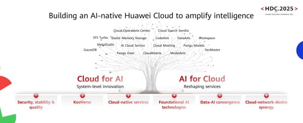GGV纪源资本 共建AI时代全球化开发者生态，华为云持续加码海外布局