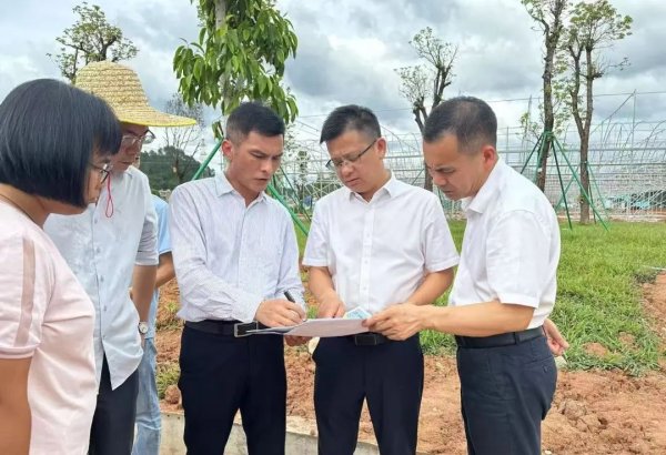 沪深策略联盟 陈超常调研督导“红之源”“绿之韵”乡村振兴示范带建设工作