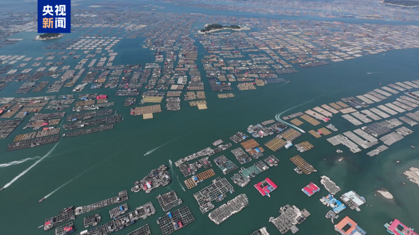 融易富配资 防御台风“丹娜丝” 福建要求渔船按时撤离回港