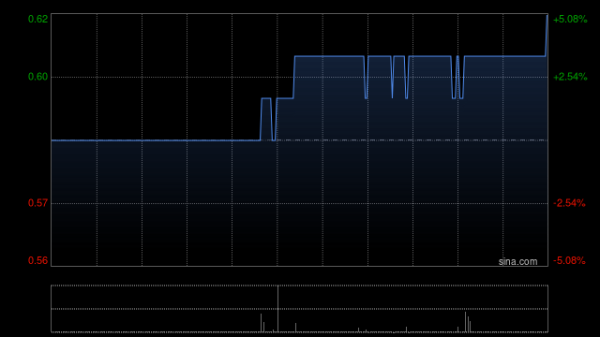 盛金缘证券 中国科教产业委任肖小兵为执行董事