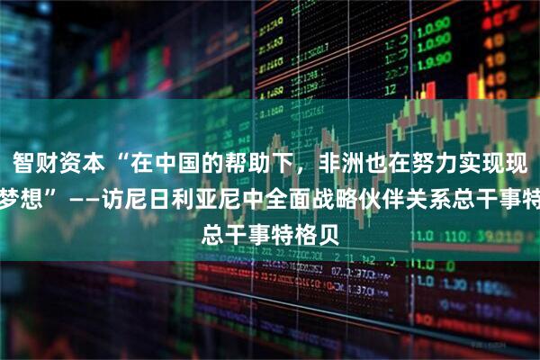 智财资本 “在中国的帮助下，非洲也在努力实现现代化梦想” ——访尼日利亚尼中全面战略伙伴关系总干事特格贝