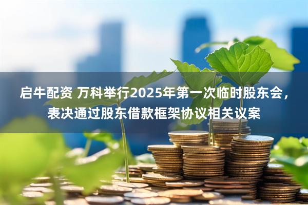 启牛配资 万科举行2025年第一次临时股东会，表决通过股东借款框架协议相关议案