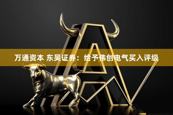 万通资本 东吴证券：给予伟创电气买入评级